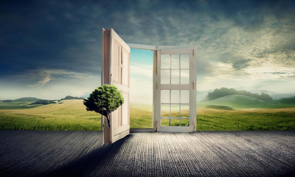 Limited Accountability